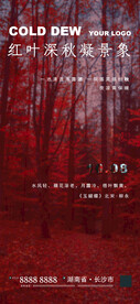 二十四节气寒露海报