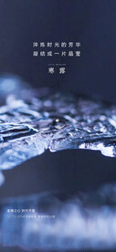 寒露节气海报