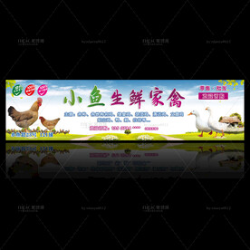 生鲜家禽