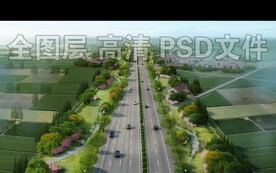 道路绿化