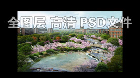 樱花溪流