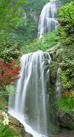 高山流水