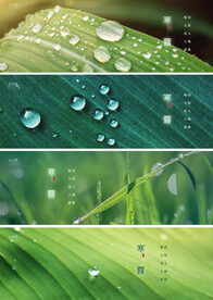 寒露节气