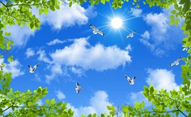 蓝天白云绿叶鸽子