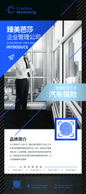 汽车保险公司企业项目介绍展架