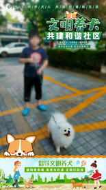 文明养犬