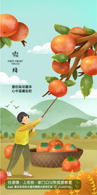 霜降贴片