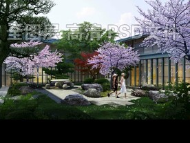 日式庭院樱花