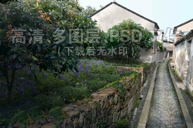 农村绿化石墙