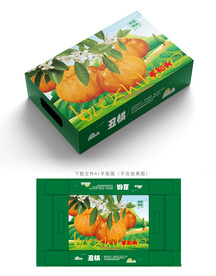 丑橘包装 