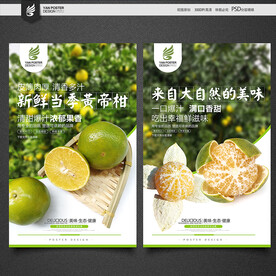 皇帝柑