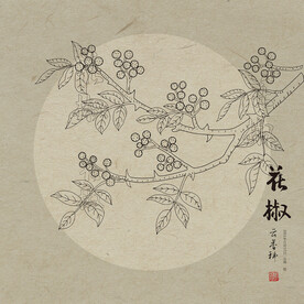 花椒