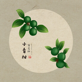 小青柑