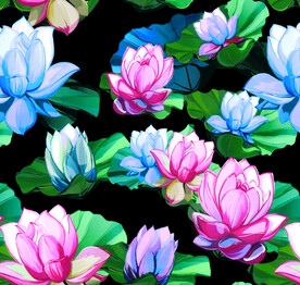 莲花