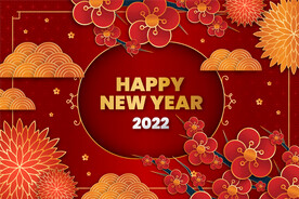 迎战2022虎年PPT模板
