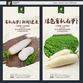 白萝卜