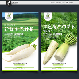 白萝卜