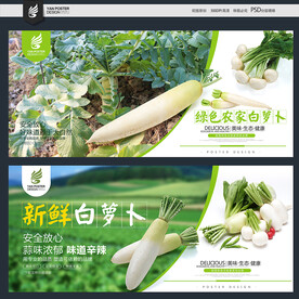白萝卜