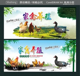 家禽养殖