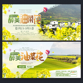 油菜花节