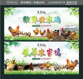 散养农家鸡