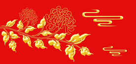 金菊