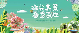 多肉diy图片