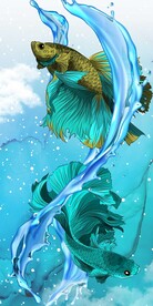 孔雀鱼斗鱼晶瓷画玄关装饰画