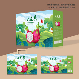 火龙果包装
