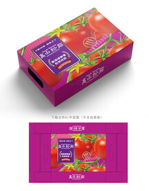 高山粉茄包装