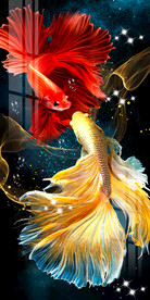 时尚斗鱼孔雀鱼玄关晶瓷画