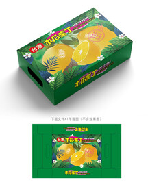 木瓜蜜丁包装 