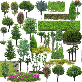 植物后期素材