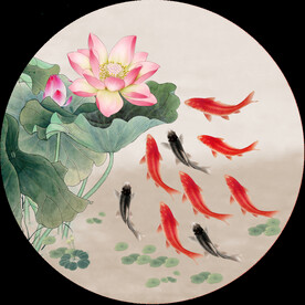 荷花鱼