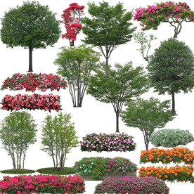 植物素材