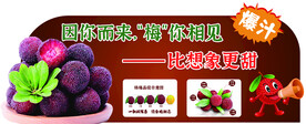 杨梅异形吊旗
