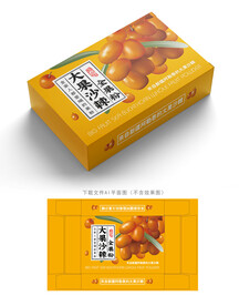 沙棘果粉包装