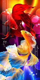 时尚炫彩斗鱼孔雀鱼玄关装饰画