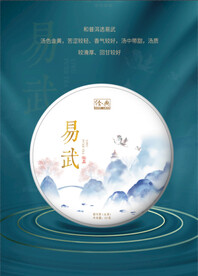 易武