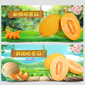 哈密瓜