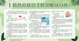 肛裂