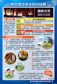海报 挂图 挂画
