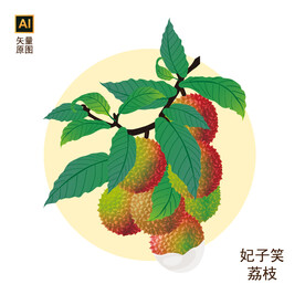妃子笑荔枝