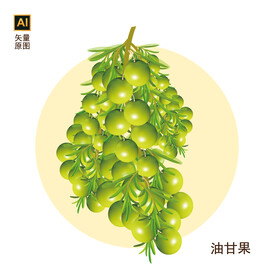 油甘果设计