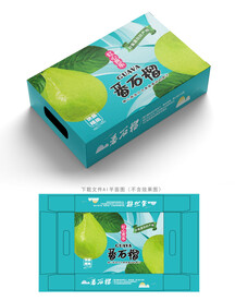 番石榴包装