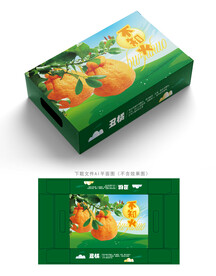 丑橘包装