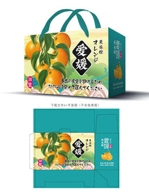 爱媛包装 