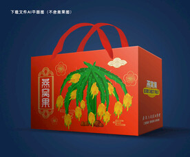 燕窝果包装