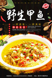 野生甲鱼