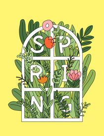 植物插画